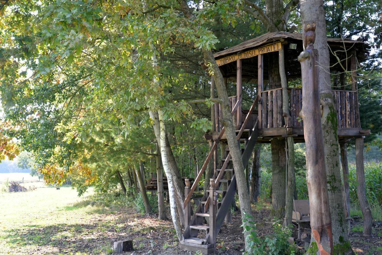 Old Oak House With Pool Villa Marusevec Luaran gambar