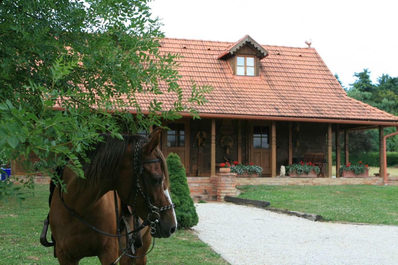 Old Oak House With Pool Villa Marusevec Luaran gambar